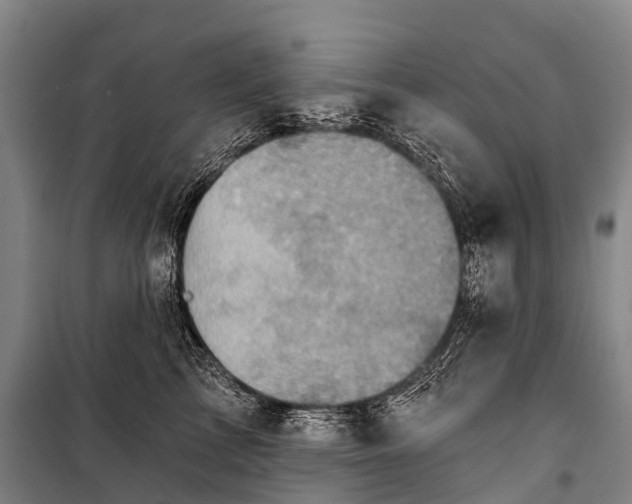 X0000101160713200807111029