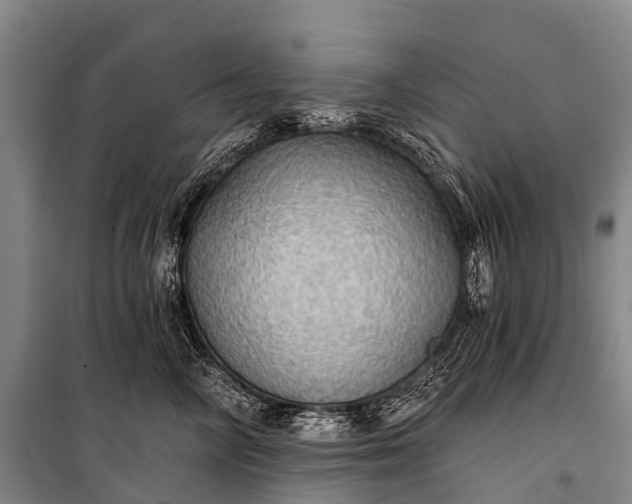 X0000101160714200807111029