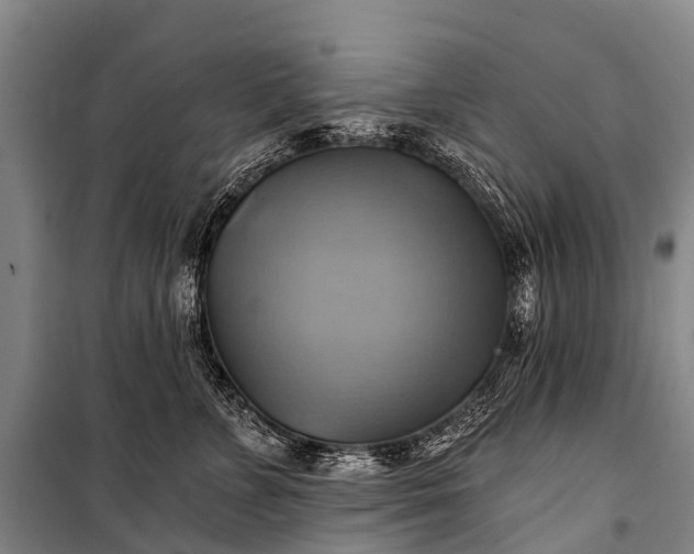 X0000101160715200807111028