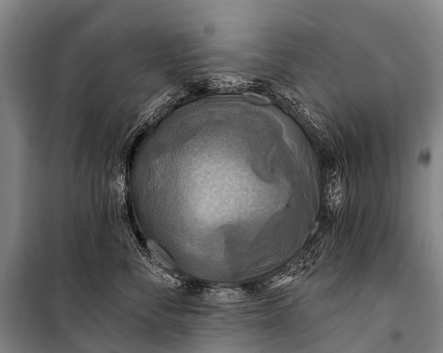 X0000101160716200807111028