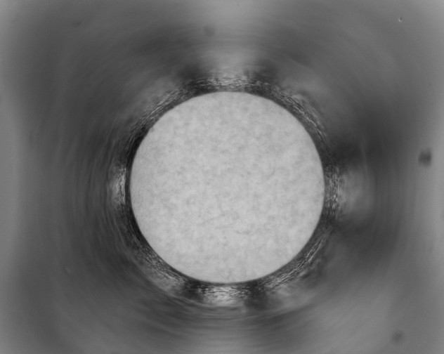 X0000101160717200807111028