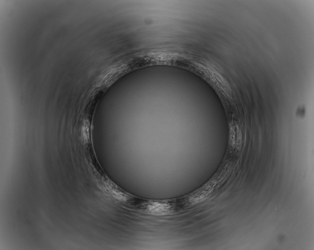 X0000101160718200807111028