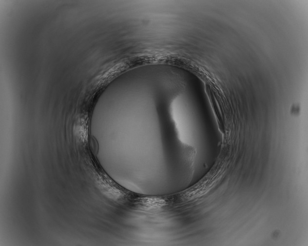 X0000101160719200807111028