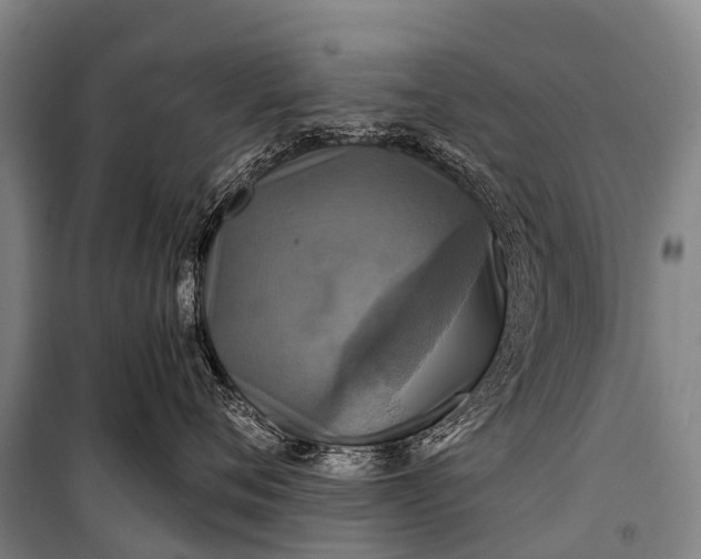 X0000101160720200807111028