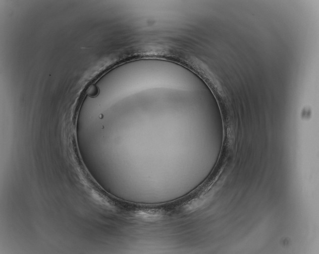 X0000101160721200807111028