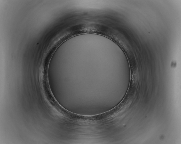 X0000101160722200807111028