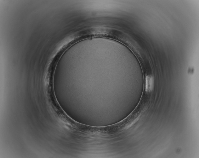 X0000101160723200807111028