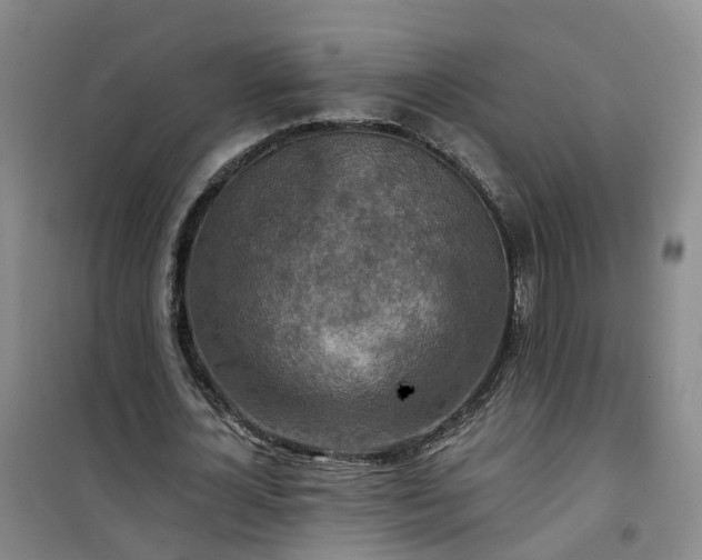 X0000101160724200807111028