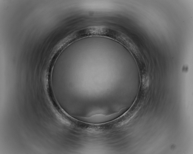 X0000101160725200807111028