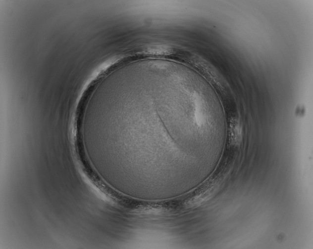 X0000101160726200807111028