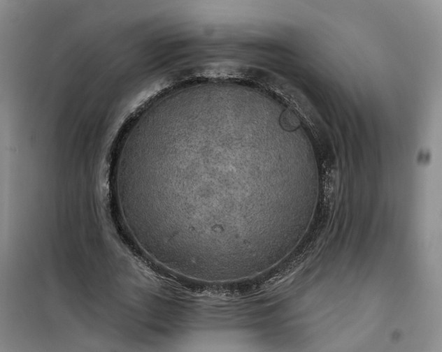 X0000101160727200807111028