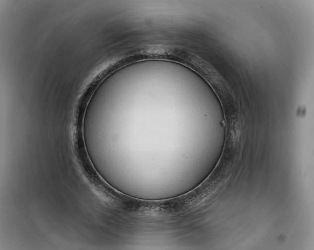 X0000101160728200807111028