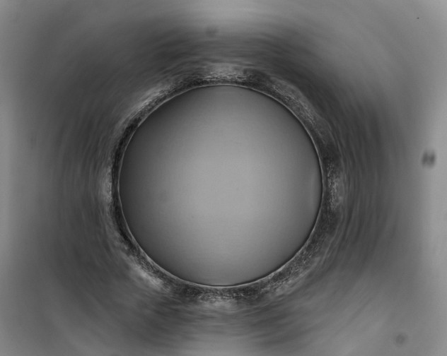 X0000101160729200807111028