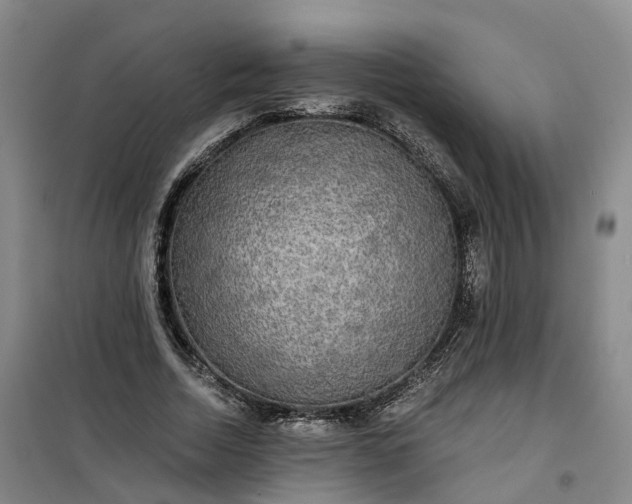 X0000101160730200807111028