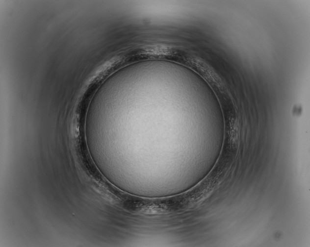 X0000101160731200807111028