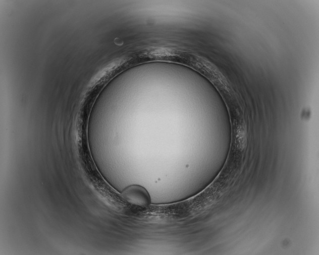 X0000101160732200807111028