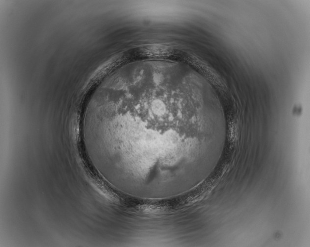 X0000101160733200807111028