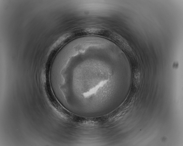 X0000101160734200807111028