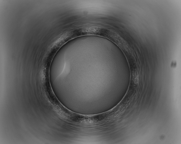 X0000101160735200807111028