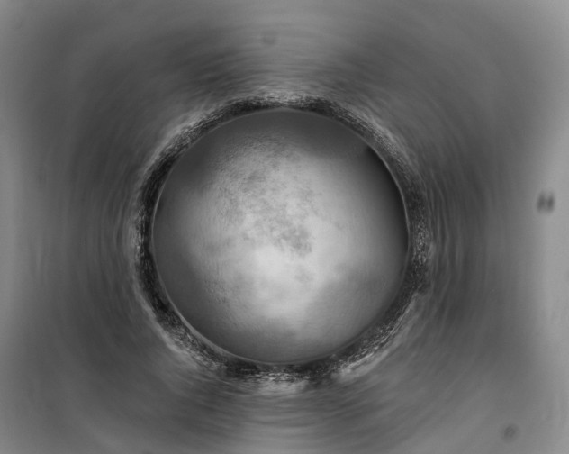 X0000101160736200807111028