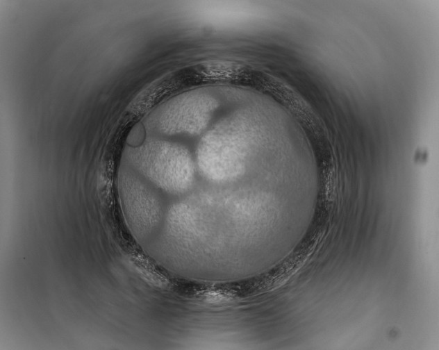 X0000101160737200807111028