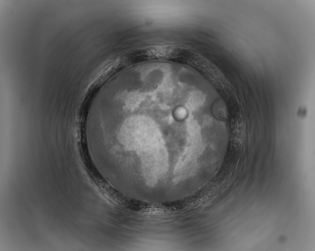 X0000101160738200807111028