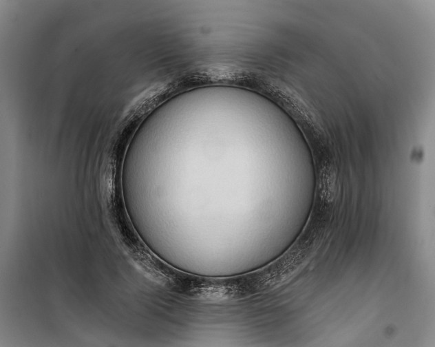 X0000101160740200807111028