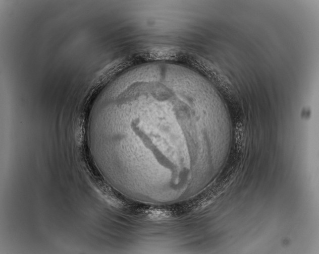 X0000101160741200807111028