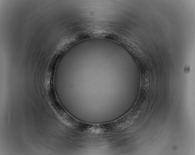 X0000101160742200807111028