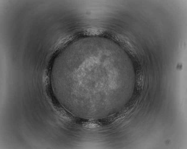 X0000101160743200807111028