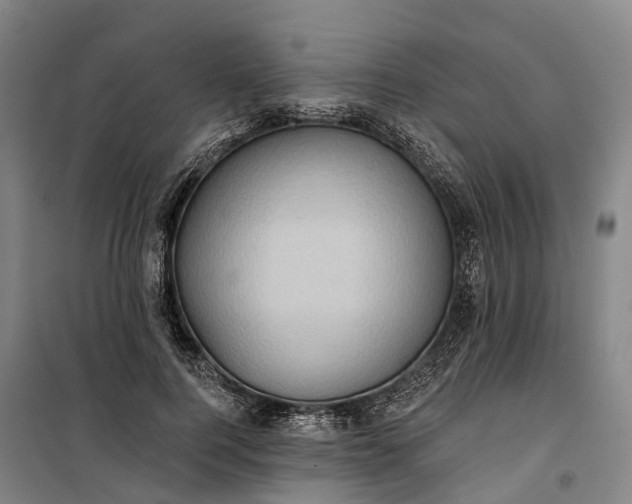 X0000101160744200807111028