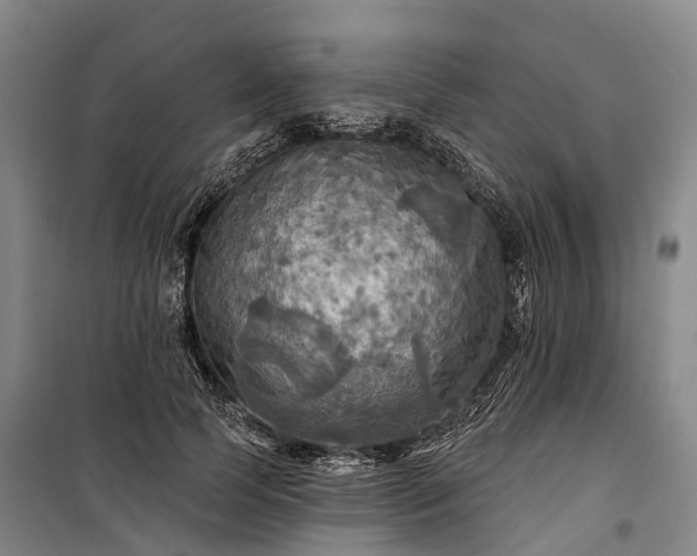 X0000101160745200807111028