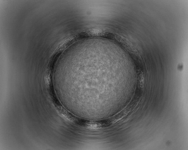 X0000101160746200807111028