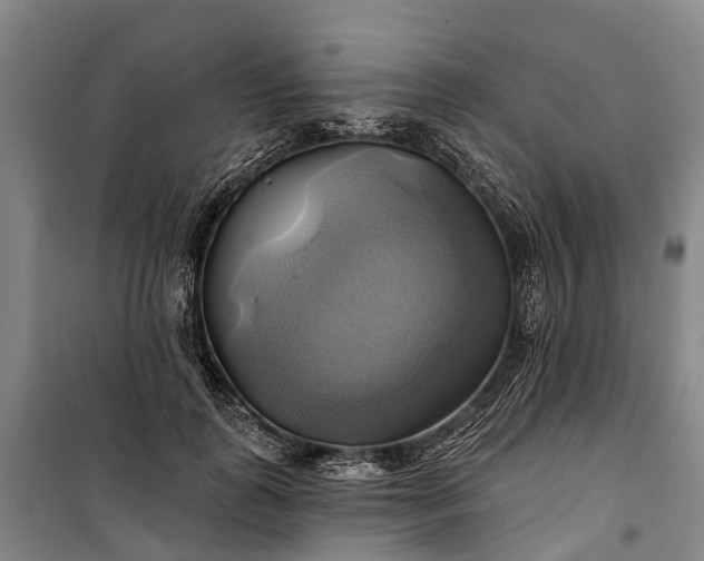 X0000101160747200807111028