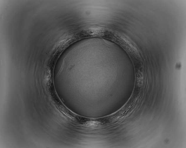 X0000101160748200807111028