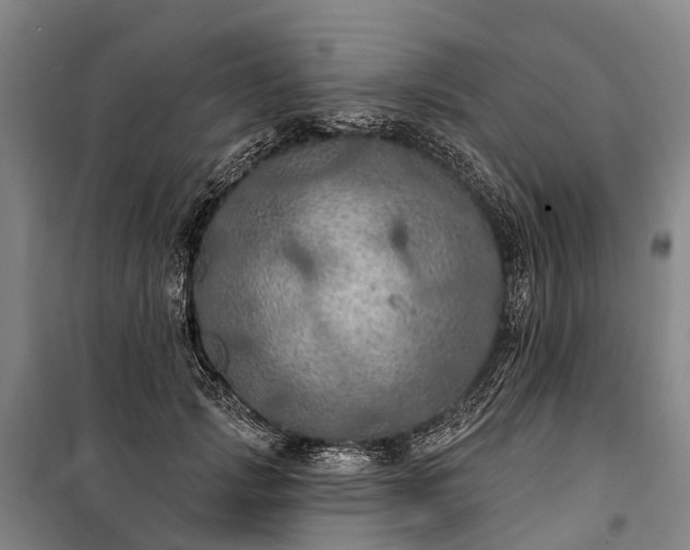 X0000101160749200807111028