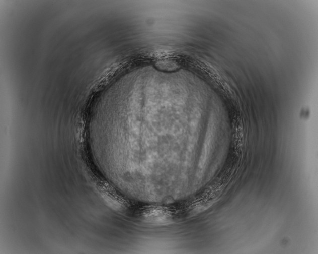 X0000101160750200807111028