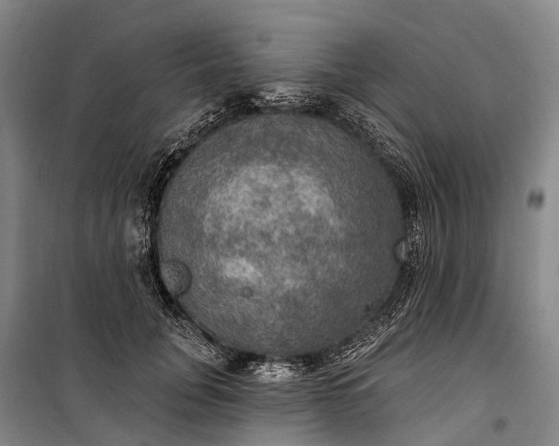 X0000101160751200807111028