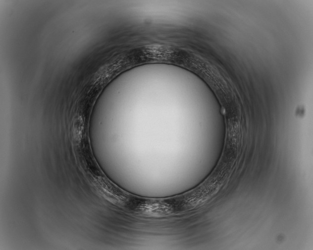 X0000101160752200807111028