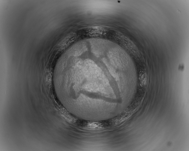 X0000101160753200807111028