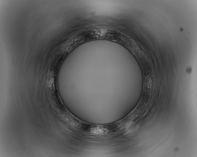 X0000101160754200807111028