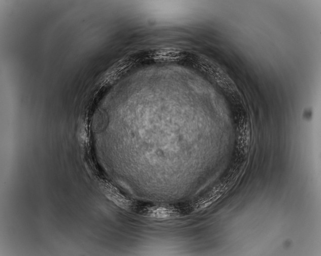 X0000101160755200807111028