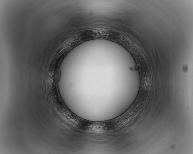 X0000101160756200807111028