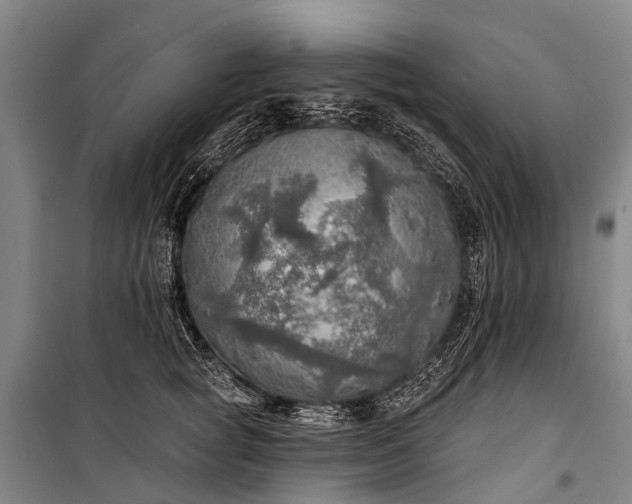 X0000101160757200807111028