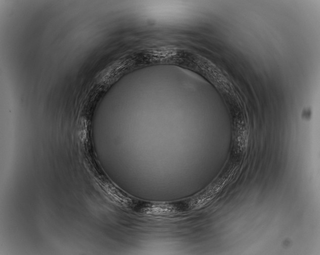 X0000101160758200807111028