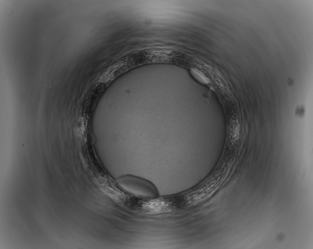 X0000101160759200807111028