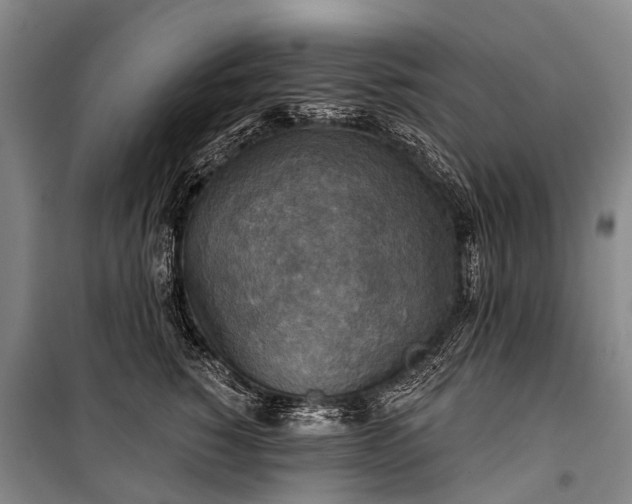 X0000101160760200807111028