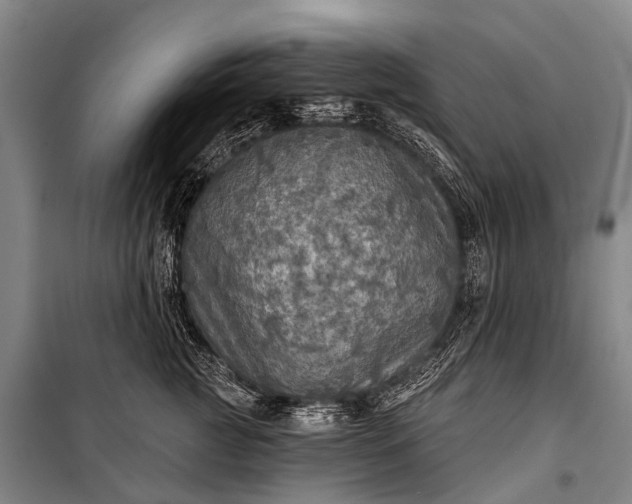 X0000101160761200807111028