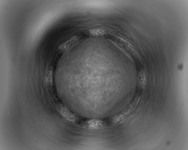 X0000101160762200807111028