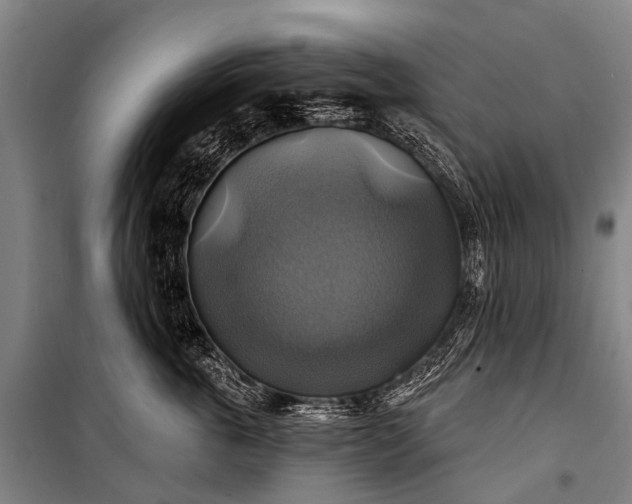 X0000101160763200807111028